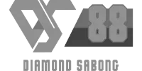 PayID logo